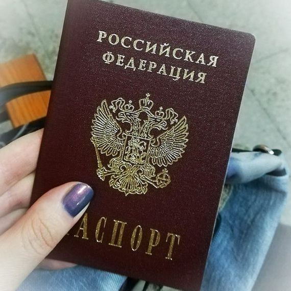 прописка в Судогде